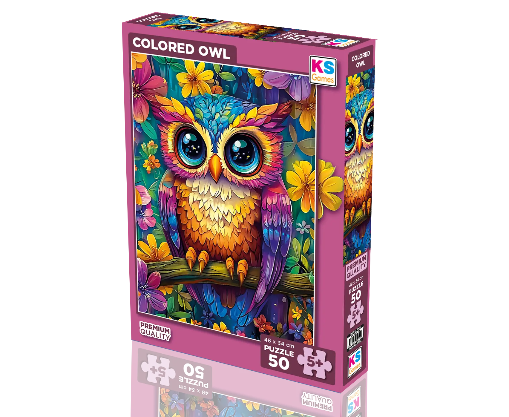 Colored Owl 50 Parça